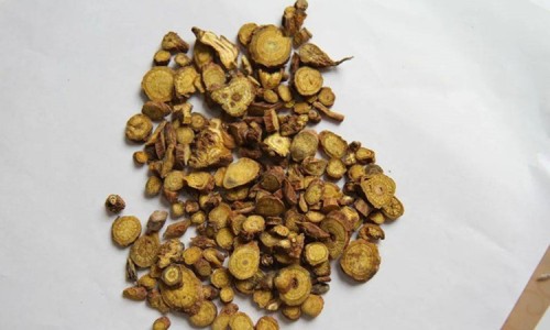 半支莲副作用网半支莲的作用知识网站,分享半支莲用量大全