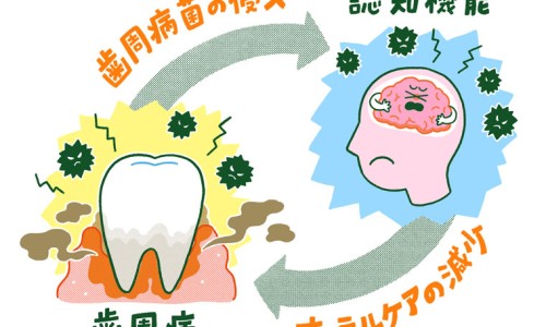 半支莲有什么作用-半支莲副作用网半支莲的作用知识网站,分享半支莲用量大全